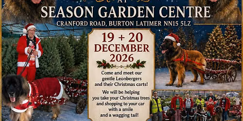 Charity Christmas Tree Pull 🎄 🎅