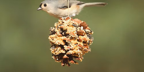 Bird Feeder Wreath Craft