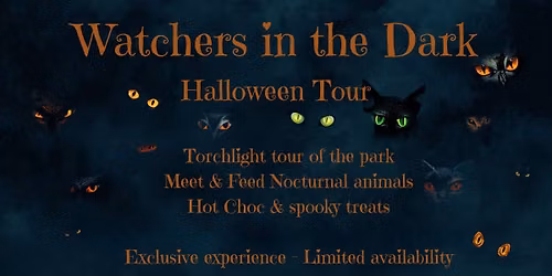 Halloween Night-time tour