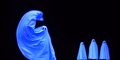 Pillowgraphies 