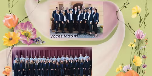 Fr\u00fchlingskonzert