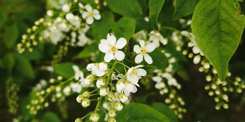 Ve\u010dery pro t\u011blo i du\u0161i 