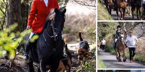 The Halfway INN - SA1 7LD