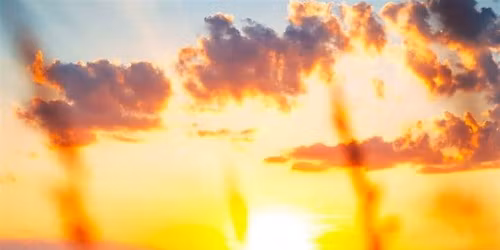 Nature Sprouts: Here Comes the Sun