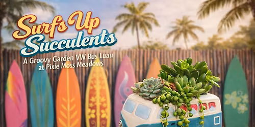 Surf\u2019s Up Succulents