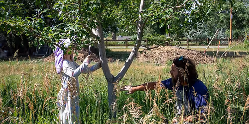 Summertime Fruit Care Workshop