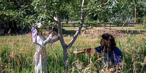 Summertime Fruit Care Workshop