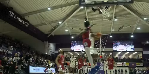 West Georgia Wolves at Bellarmine Knights Womens Basketball