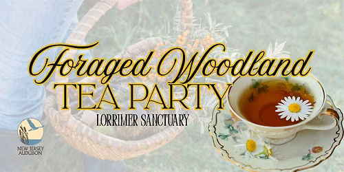 Foraged Woodland Tea Party