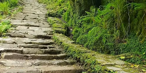 Plan Your Exit Celebration Like a Legend: A Practical & Soulful Guide to Death Planning