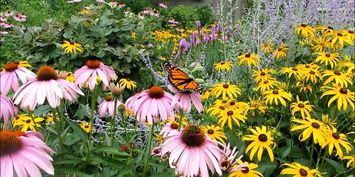 Northeast Ohio Pollinator Festival