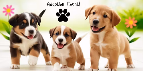 Adoption Event - Premier Pet Supply Troy