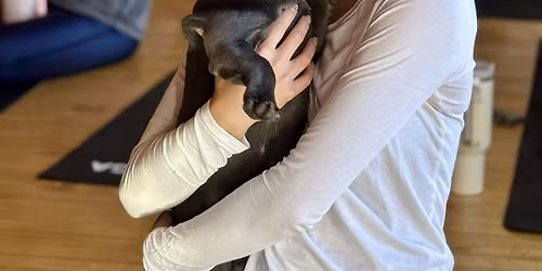 Puppy Yoga USA - Chicago