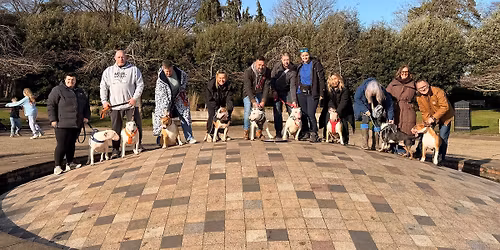 Norwich Bullie Walk