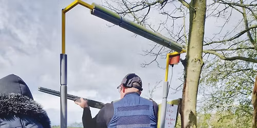 100 English Sporting Registered 