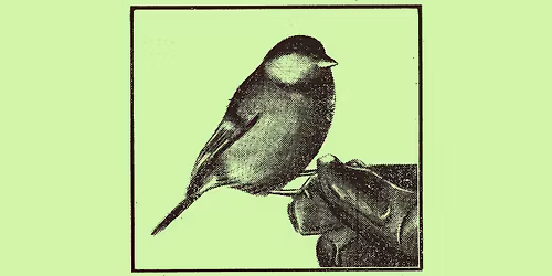 SLIPPKONSERT VILDEBJ\u00d8NNS SELSKAP & SIGURD ROGDE!