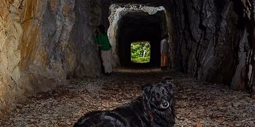 Oikos\/Sono di Silvia Mai