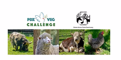 Green Acres Farm Sanctuary Visit