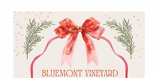 Permanent Jewelry at Bluemont Vineyard