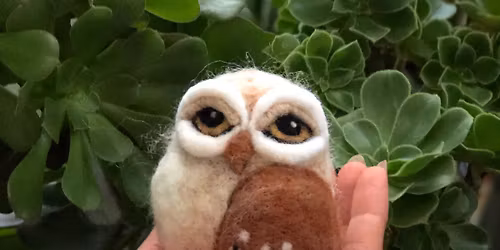 Needle felt owl workshop