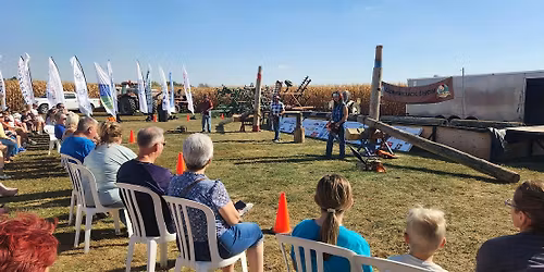 Lumberjack Show