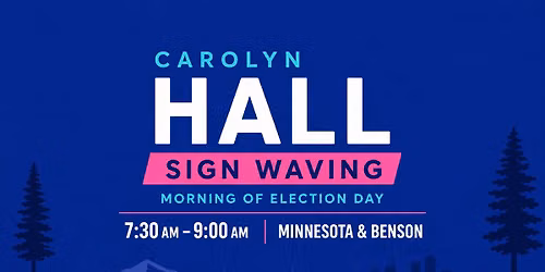 Election Day Morning Sign Waving with Carolyn Hall
