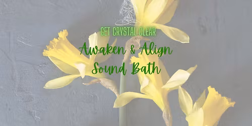 \ud83c\udf3cAwaken & Align Sound Bath\ud83c\udf3c