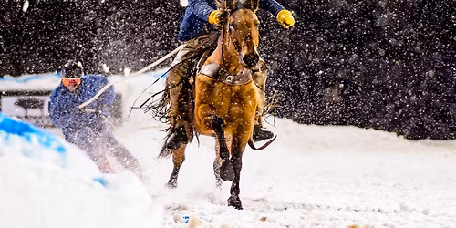 Cache Valley SkiJoring - Proskijor Stop #3