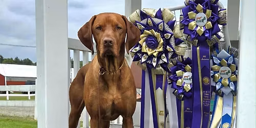 VCCNE Wicked Spring Specialties 2026