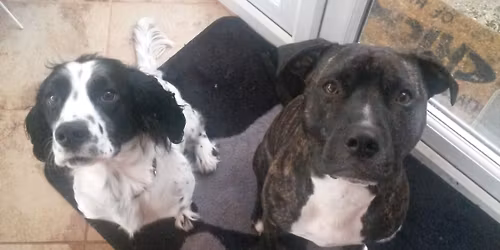 Advancing Adolescents