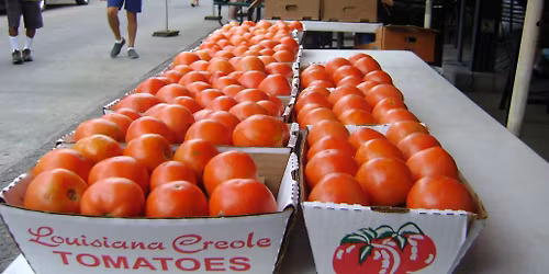 40th Annual Creole Tomato Festival