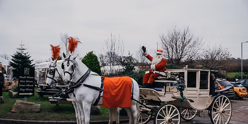 Santa's Horse Carriage Rides