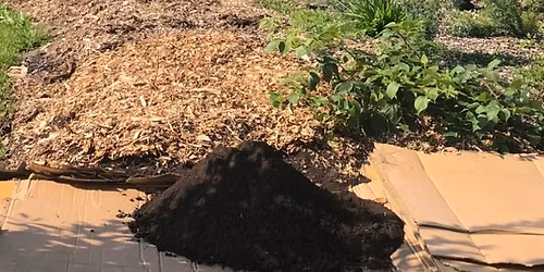 Brantford Food Forest Weekly Drop In