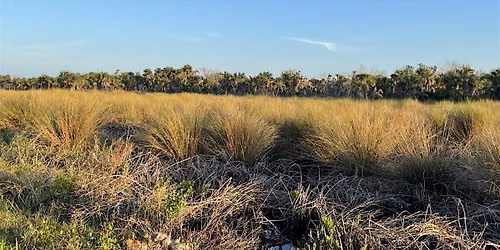 Freshwater Marsh Restoration Volunteer Planting Event July 8 -10