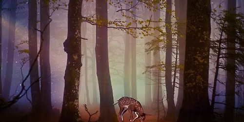 Eventyrstund p\u00e5 Blikom\u00f8ya