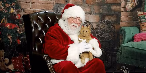 Yogie and Friends Christmas Bake Sale 