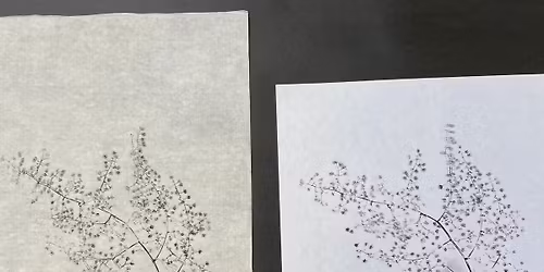 Seymour\u2019s Kids Club \u2013 Plant Printmaking with Yoshi Nakagawa