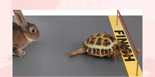 Hare and Tortoise