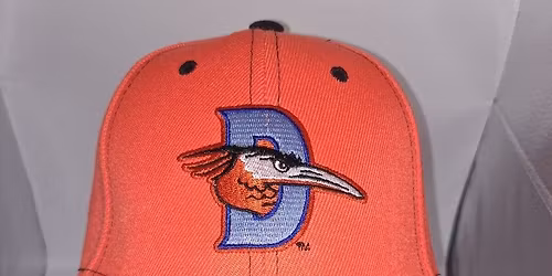 Columbia Fireflies vs. Delmarva Shorebirds