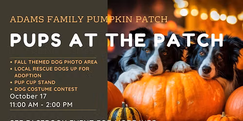 Pups at the Patch