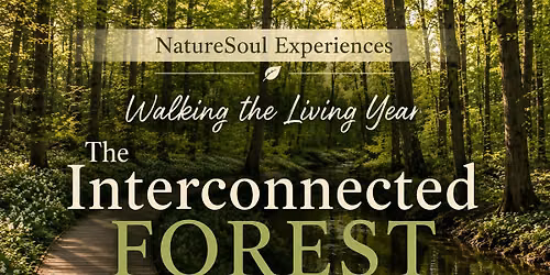 The Interconnected Forest