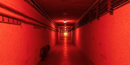 Bervie Brow Bunker Tour for November