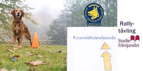 Rallylydnadst\u00e4vling