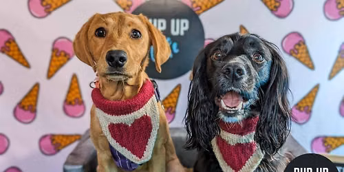  Newcastle - All Paws Pup Up Cafe \ud83d\udc9e