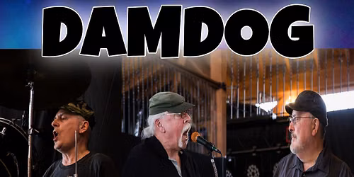 DAMDOG @NYS Blues Fest