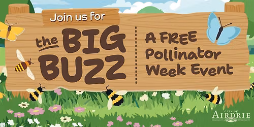 Big Buzz 2026