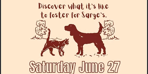 Sarge\u2019s Foster Orientation