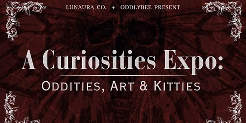 A Curiosities Expo