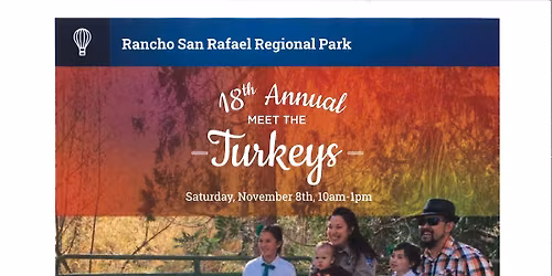 Meet the Turkeys