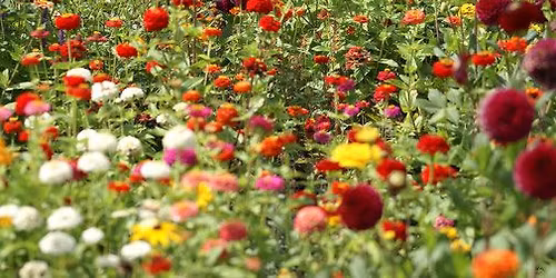 Le Courage \u2013 Freude am Gesang pur als Doppelkonzert